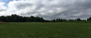 Brentwood South Weald Country Park