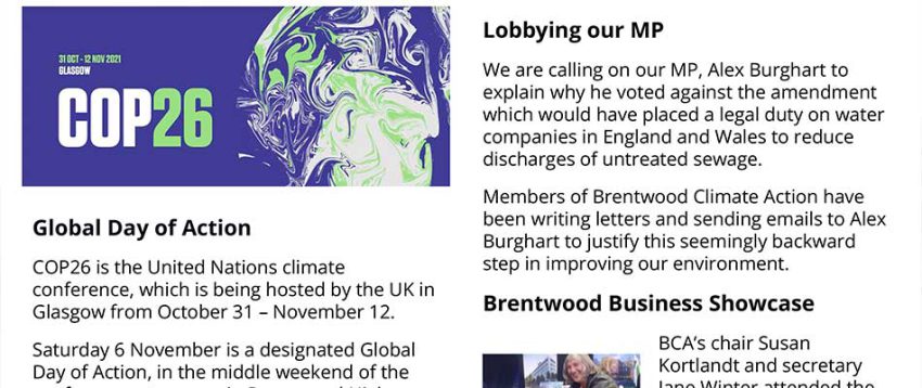 Brentwood Climate November newsletter