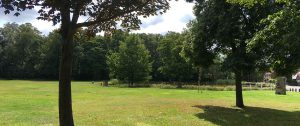 Join us on Shenfield Common for July 21 meeting