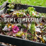 a compost heap with food waste