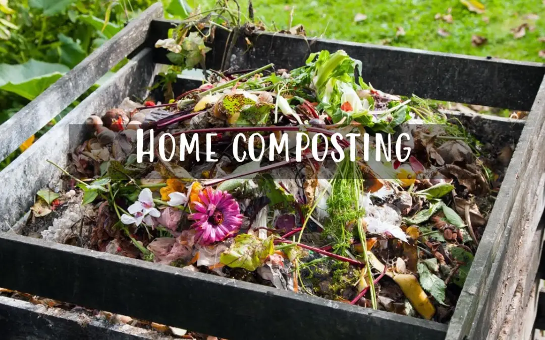 a compost heap with food waste